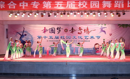 舞動(dòng)精彩，炫出自我——記第十五屆校園文化藝術(shù)節(jié)舞蹈比賽決賽